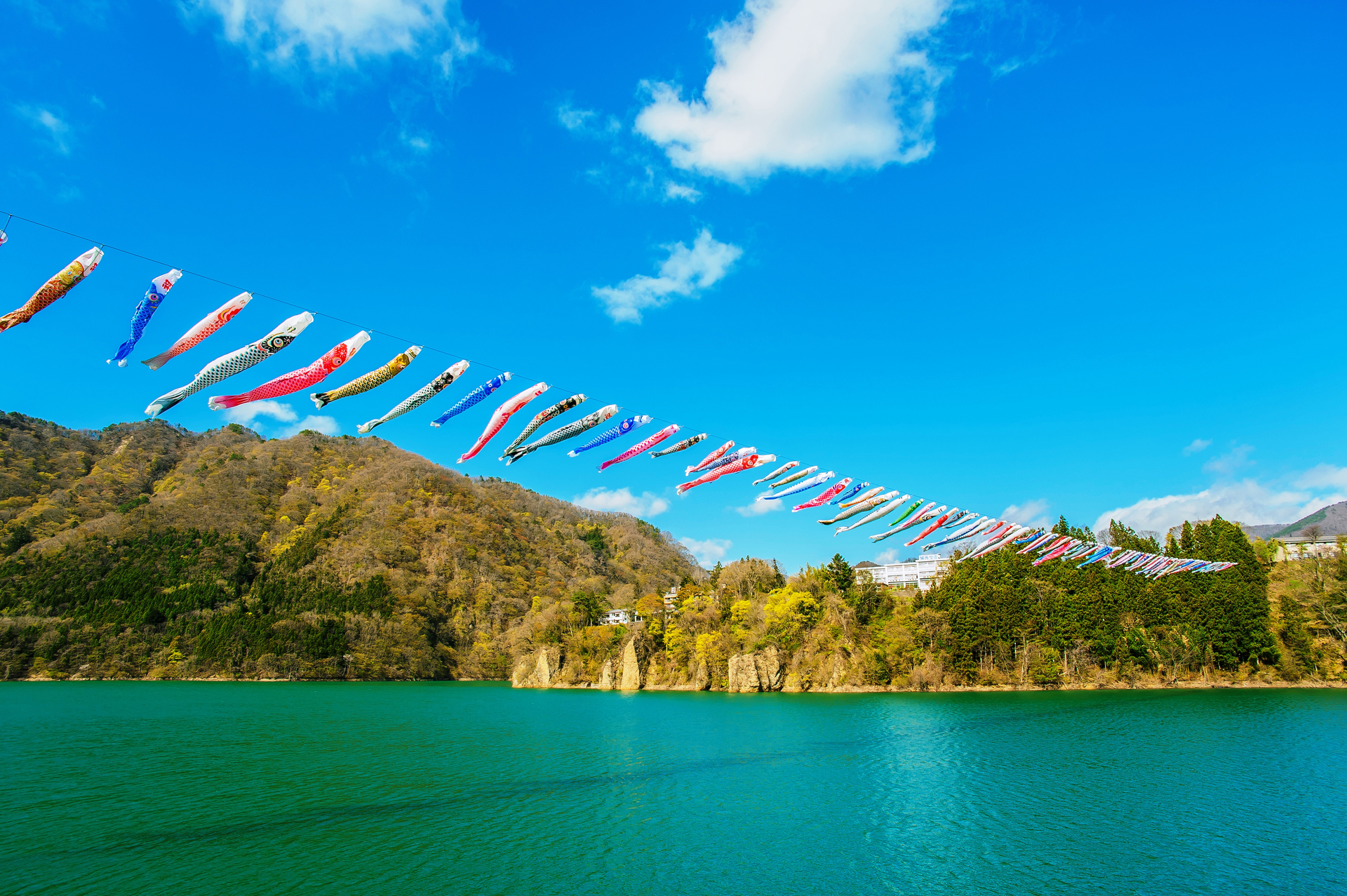 gunma-Carp_Streamers,_Akaya_Lake-m.jpg